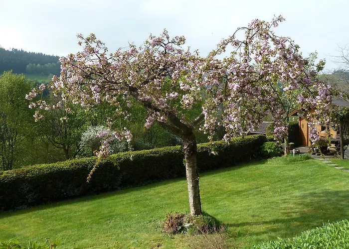Ξενοδοχείο Florian